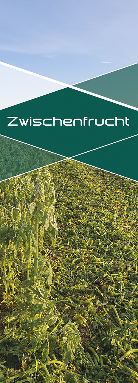 Zwischenfrucht innoMADE Messerwalze