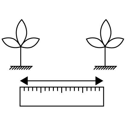 36,3 cm